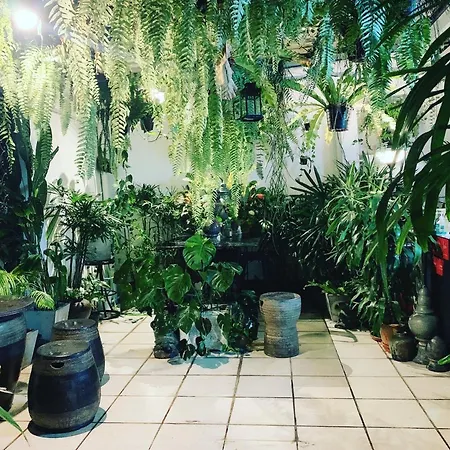 Gfeel Hostel